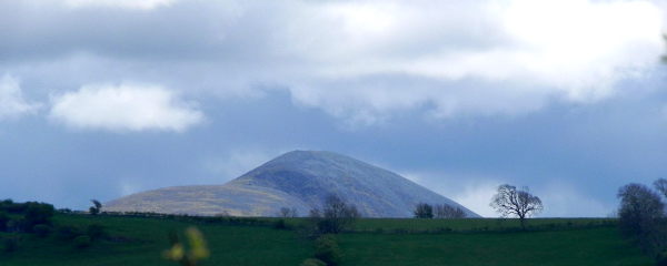Skiddaw - with a coat of gorse